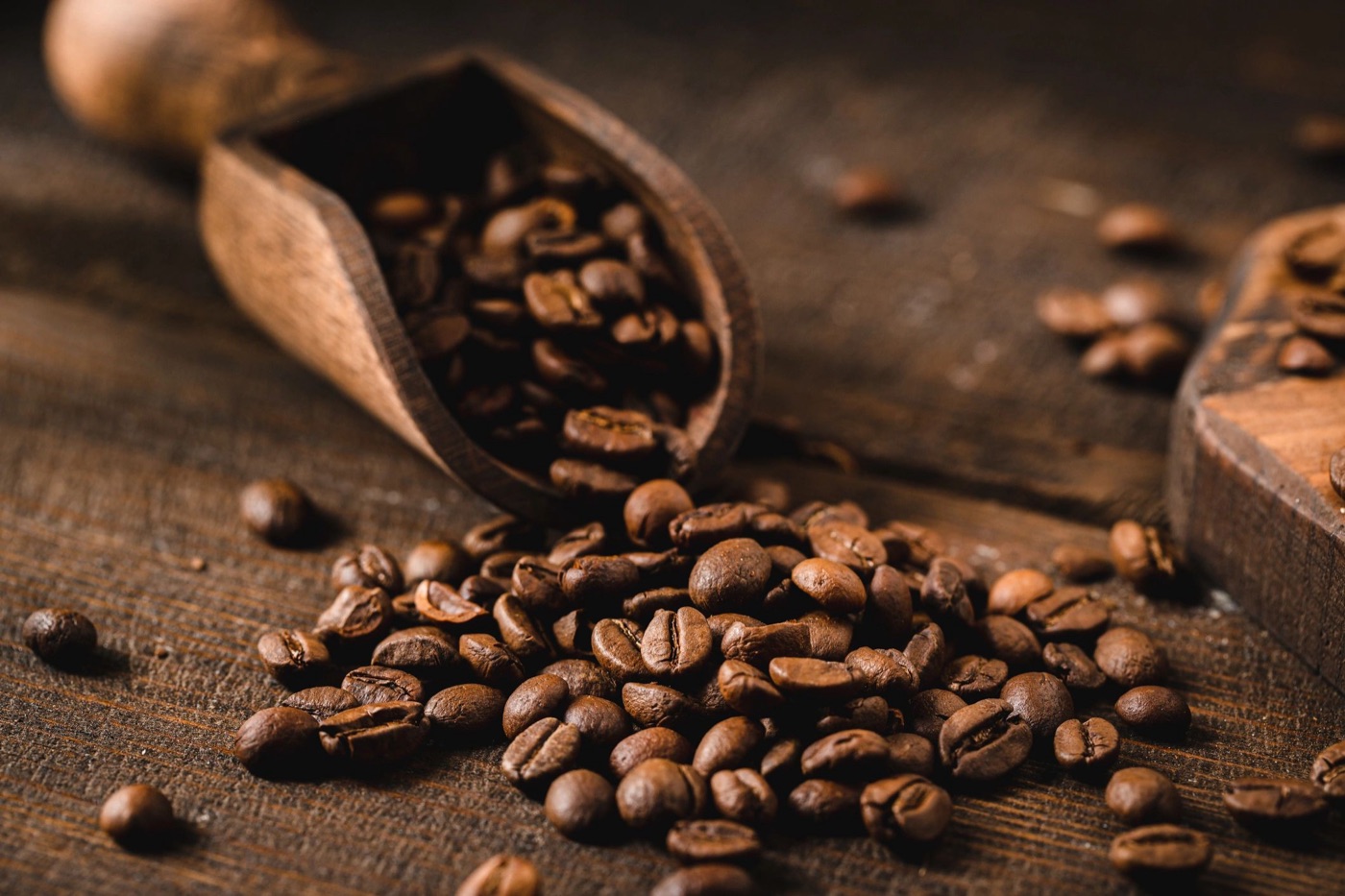 Dark roast coffee beans close up